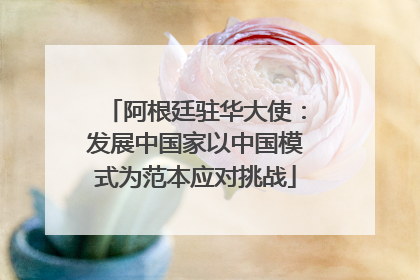 阿根廷驻华大使：发展中国家以中国模式为范本应对挑战