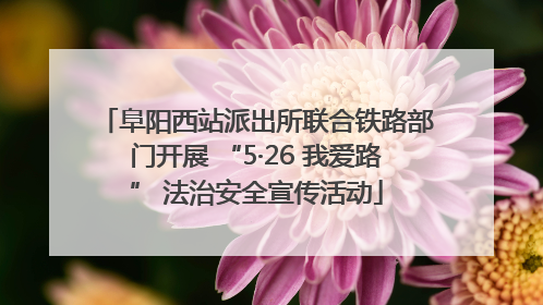 阜阳西站派出所联合铁路部门开展 “5·26 我爱路” 法治安全宣传活动