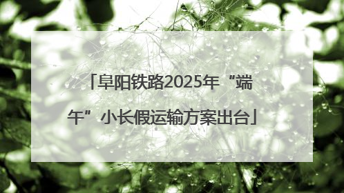 阜阳铁路2025年“端午”小长假运输方案出台