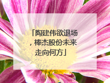 陶建伟欲退场，棒杰股份未来走向何方