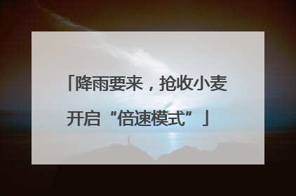 降雨要来，抢收小麦开启“倍速模式”