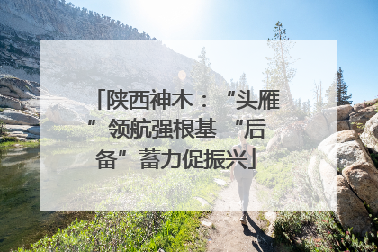 陕西神木：“头雁”领航强根基 “后备”蓄力促振兴