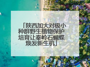 陕西加大对极小种群野生植物保护培育让秦岭石蝴蝶焕发新生机