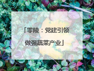零陵：党建引领 做强蔬菜产业