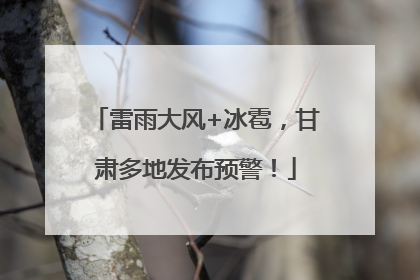 雷雨大风+冰雹，甘肃多地发布预警！