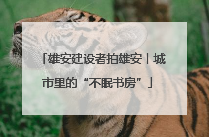 雄安建设者拍雄安丨城市里的“不眠书房”