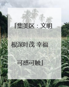 集美区：文明根深叶茂 幸福可感可触