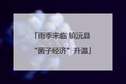 雨季来临 镇沅县“菌子经济”升温