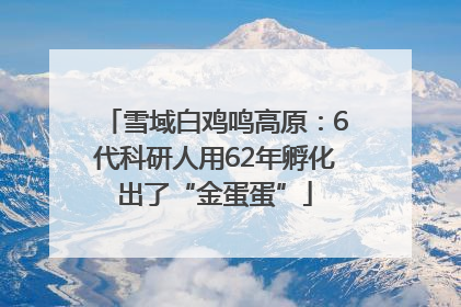 雪域白鸡鸣高原：6代科研人用62年孵化出了“金蛋蛋”