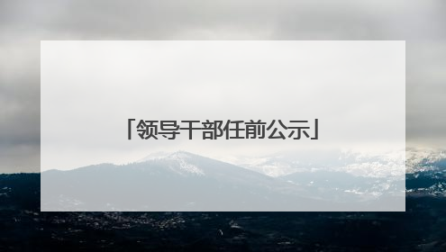 领导干部任前公示
