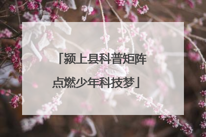 颍上县科普矩阵点燃少年科技梦