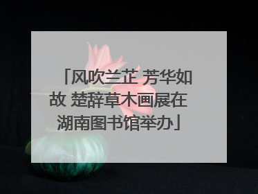 风吹兰芷 芳华如故 楚辞草木画展在湖南图书馆举办