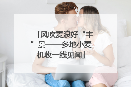 风吹麦浪好“丰”景——多地小麦机收一线见闻
