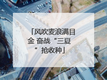 风吹麦浪满目金 奋战“三夏”抢收种