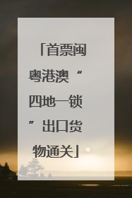 首票闽粤港澳“四地一锁”出口货物通关