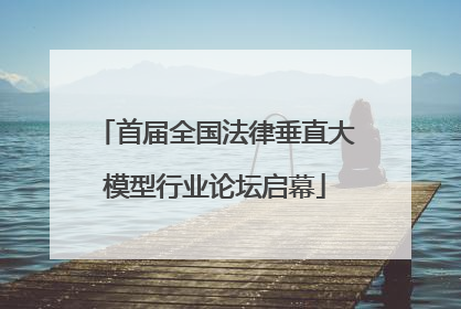 首届全国法律垂直大模型行业论坛启幕