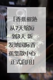 香蕉催熟从7天缩短到3天 新发地国际香蕉集散中心正式启用