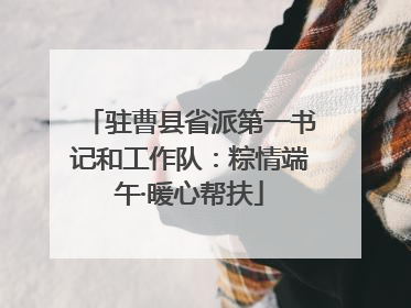 驻曹县省派第一书记和工作队：粽情端午·暖心帮扶