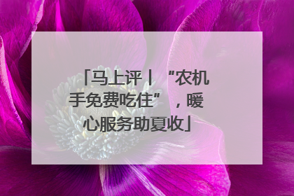 马上评丨“农机手免费吃住”，暖心服务助夏收