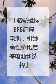 骆驼橙标EFB启停电池：引领高性价比启停电池新选择