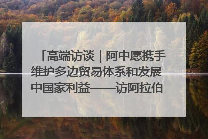 高端访谈｜阿中愿携手维护多边贸易体系和发展中国家利益——访阿拉伯议会议长亚马希