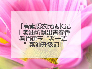 高素质农民成长记丨老油坊飘出青春香 看肖建玉“老一辈”菜油升级记