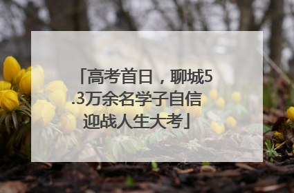 高考首日，聊城5.3万余名学子自信迎战人生大考