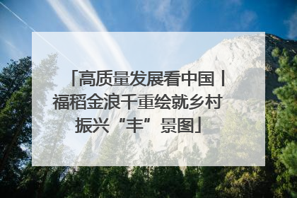 高质量发展看中国丨福稻金浪千重绘就乡村振兴“丰”景图