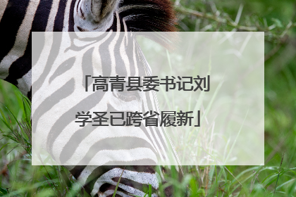 高青县委书记刘学圣已跨省履新