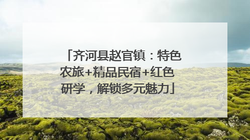 齐河县赵官镇：特色农旅+精品民宿+红色研学，解锁多元魅力