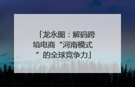 龙永图：解码跨境电商“河南模式”的全球竞争力