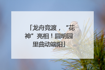 龙舟竞渡，“花神”亮相！圆明园里曲动端阳