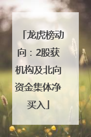 龙虎榜动向：2股获机构及北向资金集体净买入