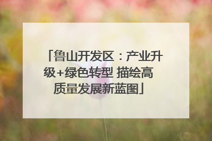 鲁山开发区：产业升级+绿色转型 描绘高质量发展新蓝图