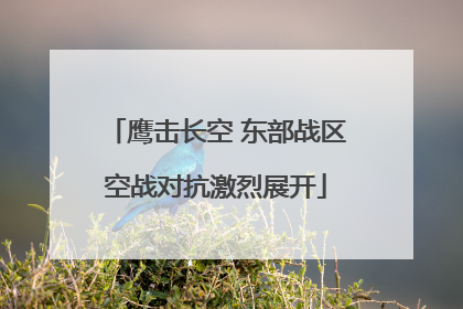 鹰击长空 东部战区空战对抗激烈展开