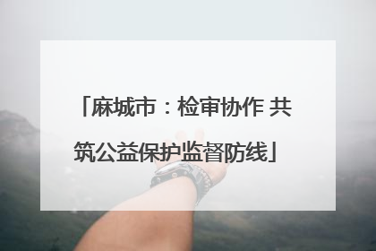 麻城市：检审协作 共筑公益保护监督防线