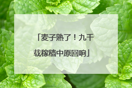 麦子熟了！九千载稼穑中原回响