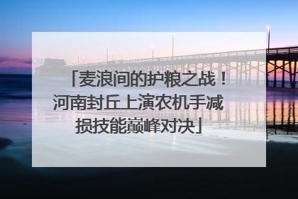 麦浪间的护粮之战！河南封丘上演农机手减损技能巅峰对决