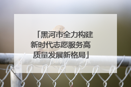 黑河市全力构建新时代志愿服务高质量发展新格局