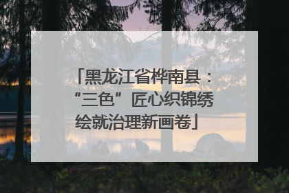 黑龙江省桦南县：“三色”匠心织锦绣 绘就治理新画卷