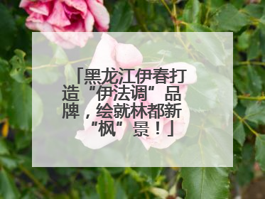 黑龙江伊春打造“伊法调”品牌，绘就林都新“枫”景！