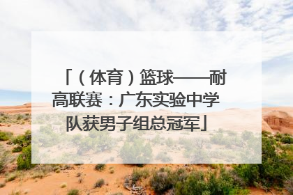（体育）篮球——耐高联赛：广东实验中学队获男子组总冠军