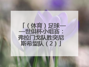（体育）足球——世俱杯小组赛：弗拉门戈队胜突尼斯希望队（2）