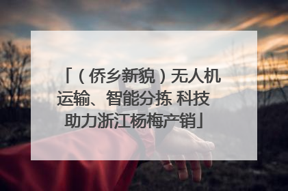 （侨乡新貌）无人机运输、智能分拣 科技助力浙江杨梅产销