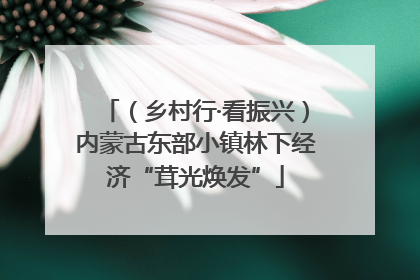 （乡村行·看振兴）内蒙古东部小镇林下经济“茸光焕发”