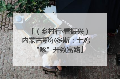 （乡村行·看振兴）内蒙古鄂尔多斯：土鸡“啄”开致富路
