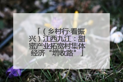 （乡村行·看振兴）江西九江：甜蜜产业拓宽村集体经济“增收路”
