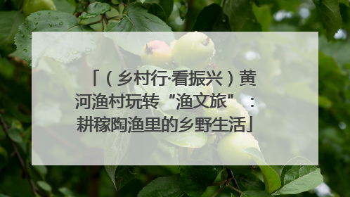 （乡村行·看振兴）黄河渔村玩转“渔文旅”：耕稼陶渔里的乡野生活