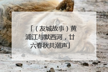 （友城故事）黄浦江与默西河，廿六春秋共潮声