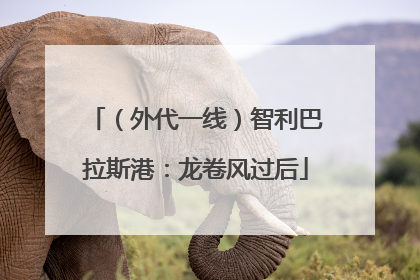 （外代一线）智利巴拉斯港：龙卷风过后
